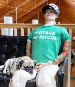 A Mannequin Dressed As His Owner Helps Calm Down This Pug's Separation Anxiety