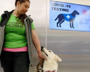 Dogs Can Detect COVID