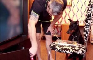 Fur Parent Subjects Canine Pal To The Patience Test – Watch How Pup Fares