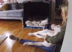 Loving Pup Greets Mom With The Sweetest Cuddles Every Morning — Watch How Mom Responds