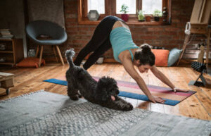 In A Sweet Video Clip, A Pet Dog Practices Yoga With Its Owner; The Internet Loves It