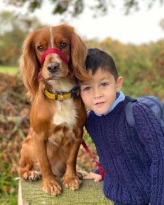 Loving Family Dog Helped A Four-Year-Old With Autism Come Out Of ‘His Own Little World’
