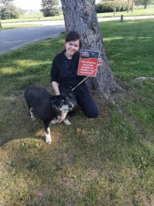 This Elderly And Obese Dog Dumped On Interstate Gets A Life Filled With Pampering