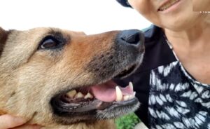 This Dog Spent 12 Months Away From Her Mom Because She Was Too Terrified To Leave Her Old Home