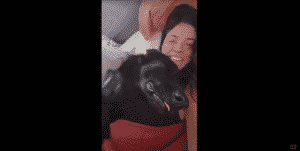 German Shepherd Responds To His Owner's Question, And The Dog's Hilarious Way Of Answering Is A Major Mood Changer