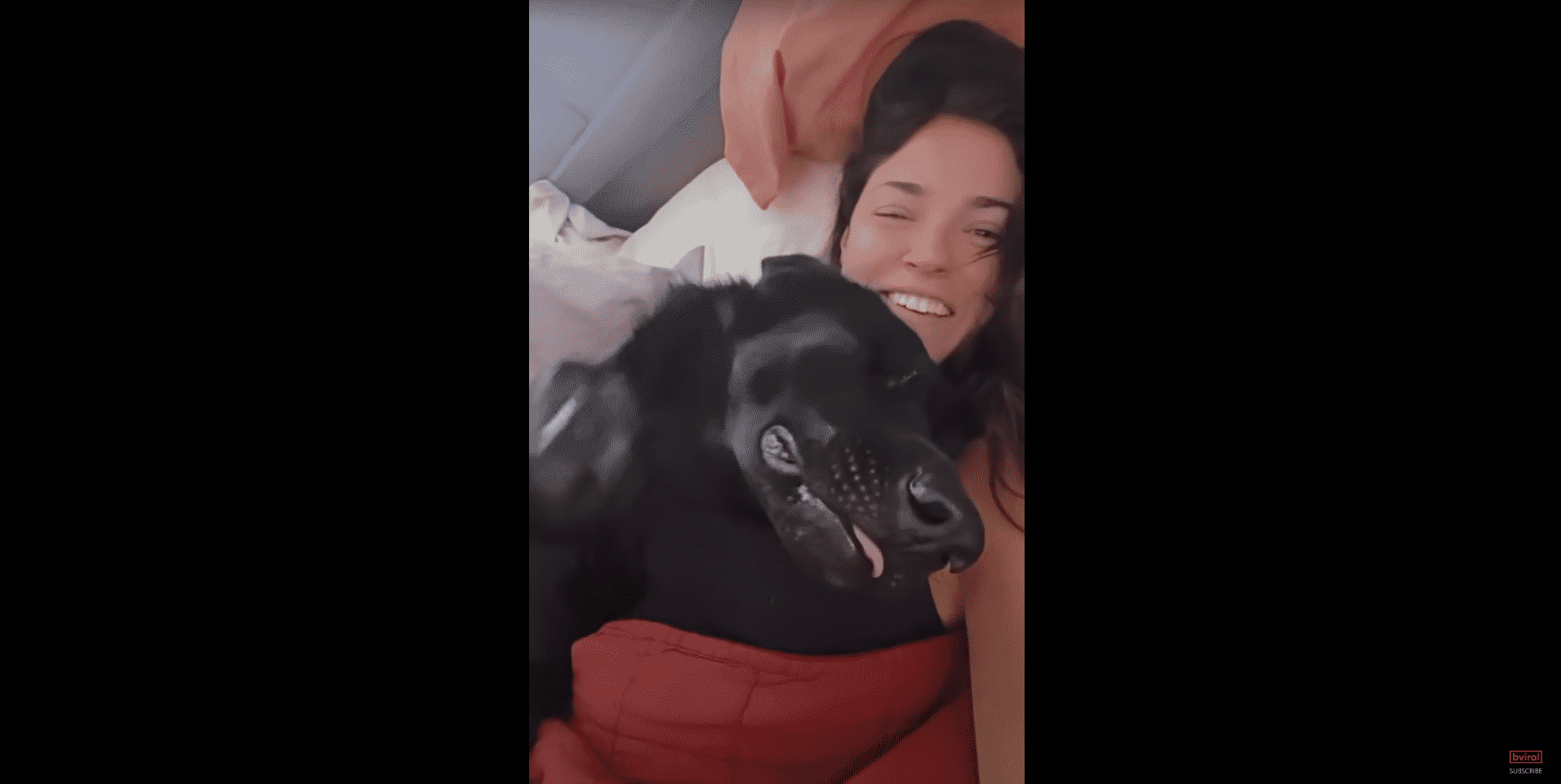 German Shepherd Responds To His Owner's Question, And The Dog's Hilarious Way Of Answering Is A Major Mood Changer