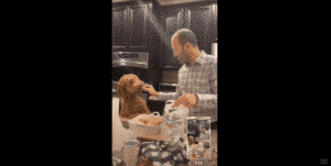 Hilarious Goldendoodle Nudges At Dad