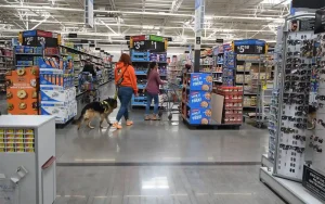 Dog in Walmart