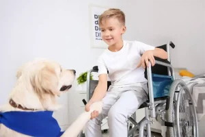 a friendly service dog with shaking hands with a boy