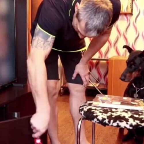 Fur Parent Subjects Canine Pal To The Patience Test – Watch How Pup Fares