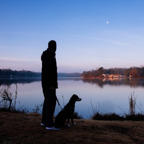 Therapy Pooch At Funeral Home Helps People Who Grieve