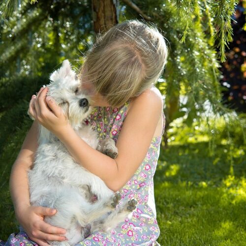 Scientists Reveal Why Dogs Are So Loyal To Their Owners