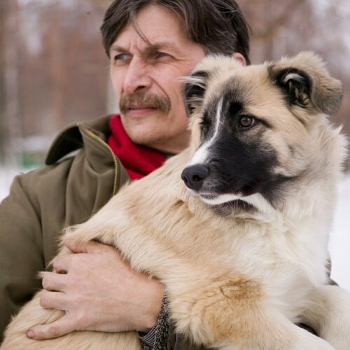 Man Builds A ‘Dog Train’ So Rescue Dogs Have A Fun Ride Around Town