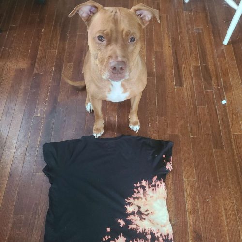 A Dog Unintentionally Makes The Coolest T-Shirt For His Mom