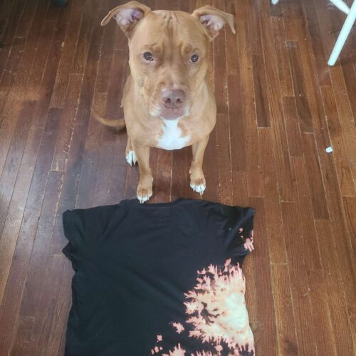 A Dog Unintentionally Makes The Coolest T-Shirt For His Mom