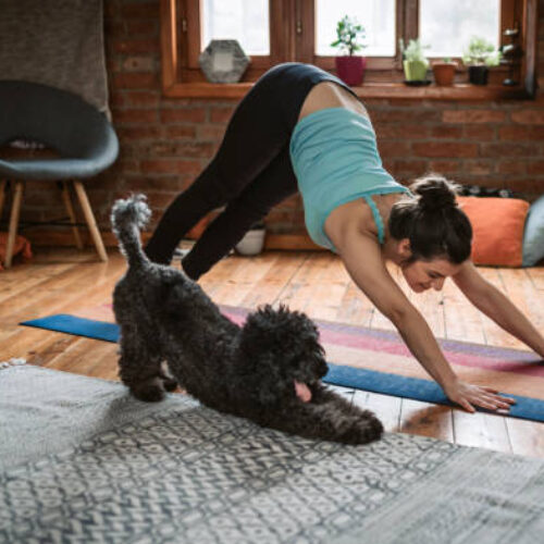 In A Sweet Video Clip, A Pet Dog Practices Yoga With Its Owner; The Internet Loves It