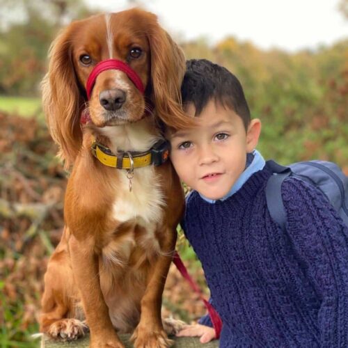 Loving Family Dog Helped A Four-Year-Old With Autism Come Out Of ‘His Own Little World’