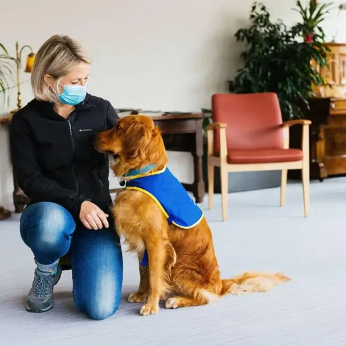 cute dog with her owner