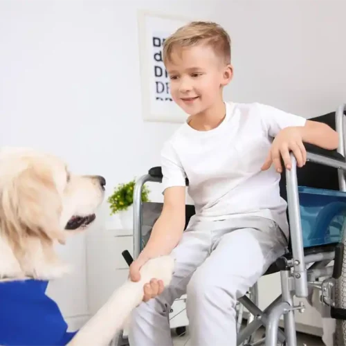 a friendly service dog with shaking hands with a boy