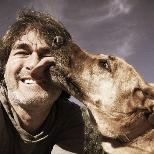 How to Know If Your Dog Loves You?