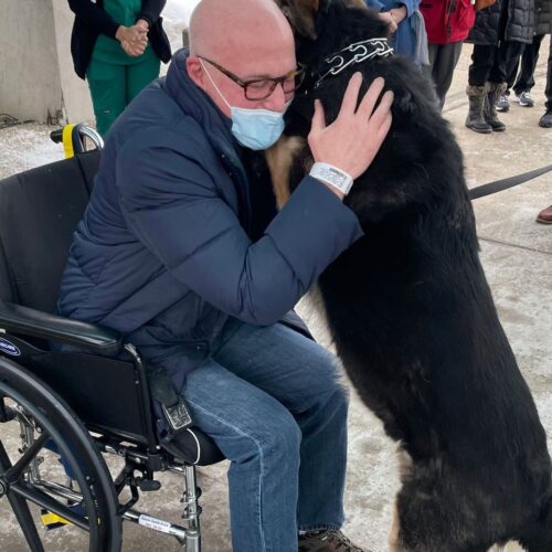 The Story Of How Sadie Saved Her Owner’s Life