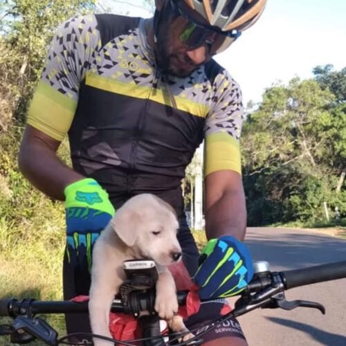 Cyclist Adopts A Puppy He Found Abandoned On The Roadside