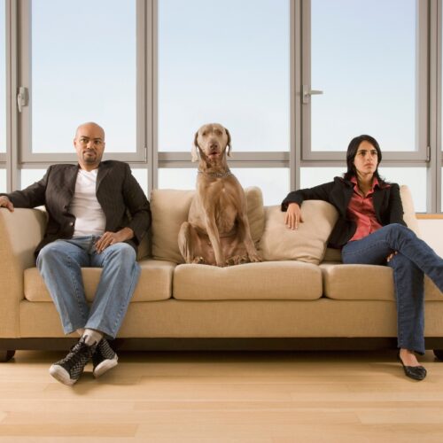 What Does Your Dog Really Want?